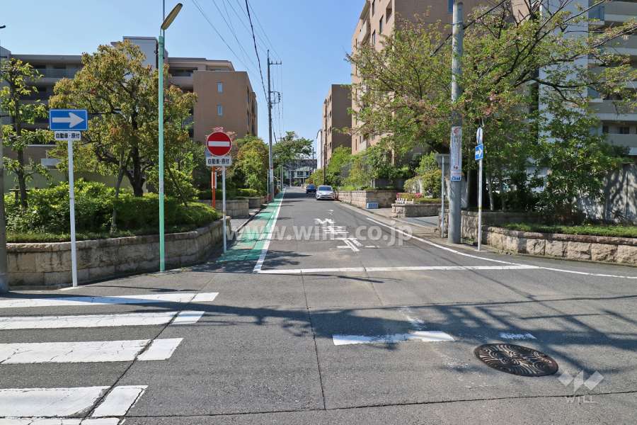 敷地東側の前面道路