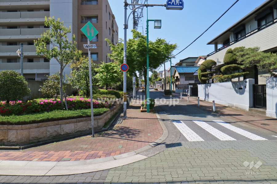 敷地西側の前面道路