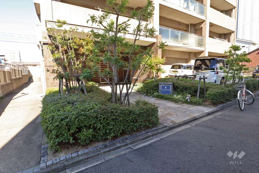 敷地内の各所に植栽スペースが設けられています。