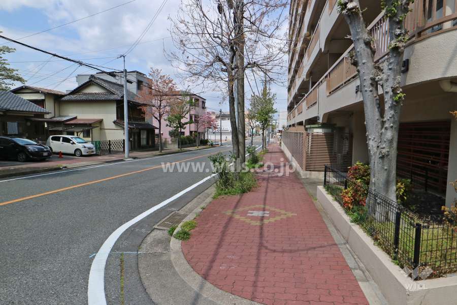 敷地南側の前面道路