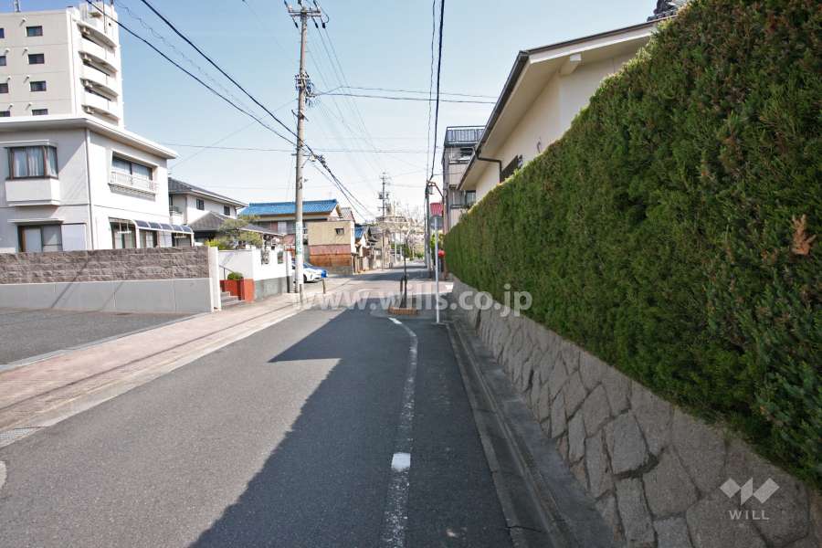 敷地東側の道路(南側から)