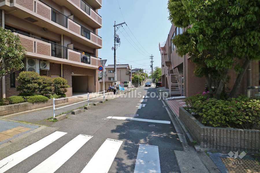 敷地南側の前面道路