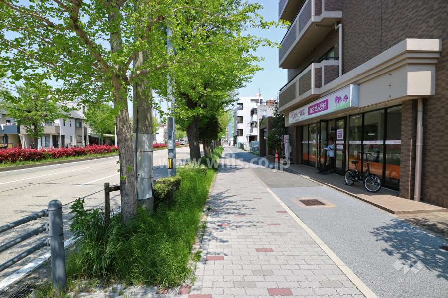 敷地西側の前面道路
