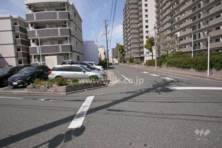 敷地南側の前面道路