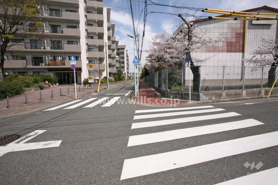 敷地東側の前面道路