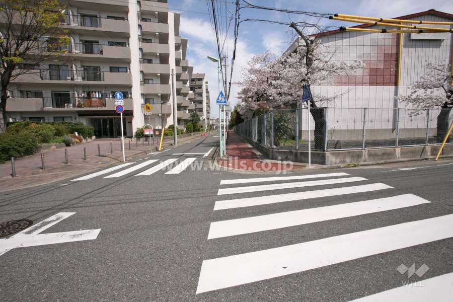 敷地東側の前面道路