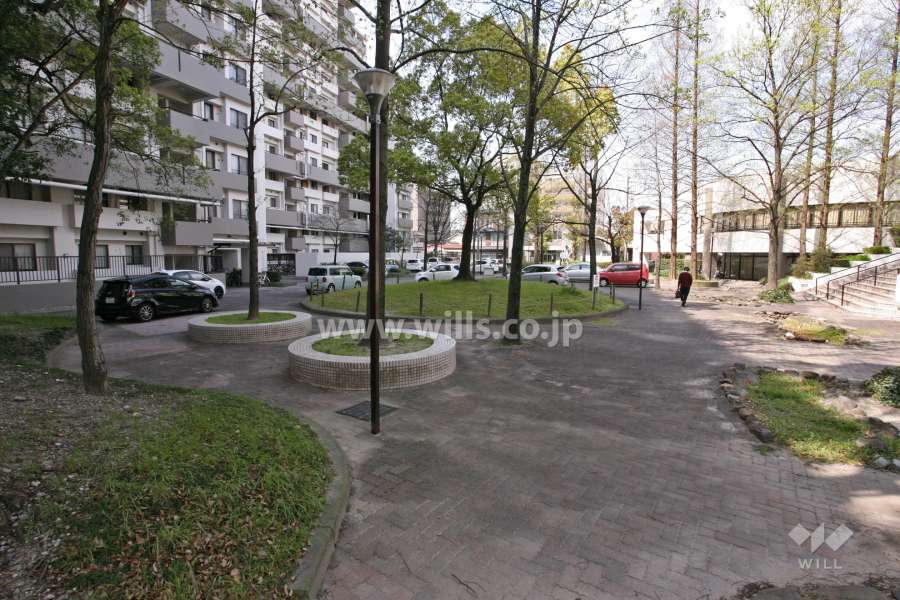 敷地中央にある広場