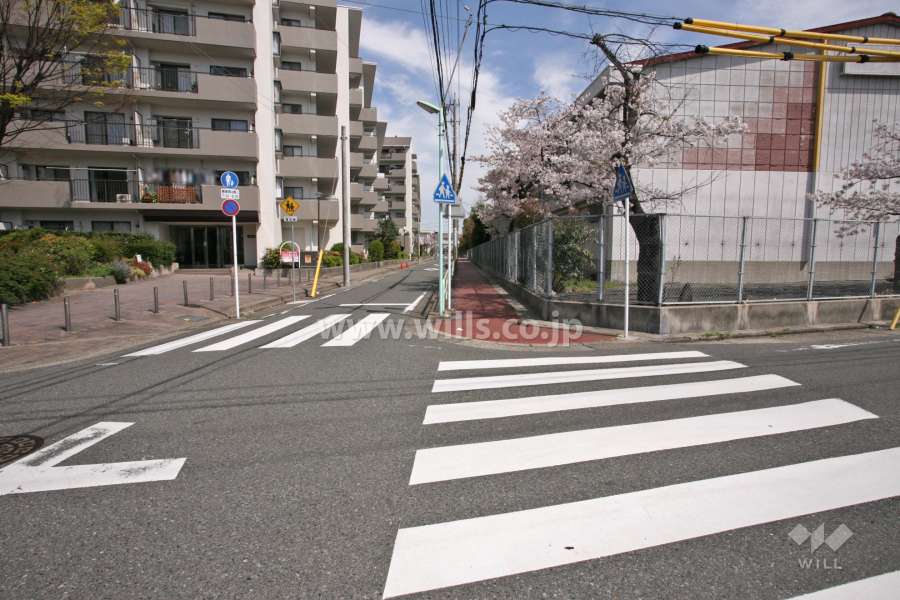 敷地東側の前面道路(南側から)