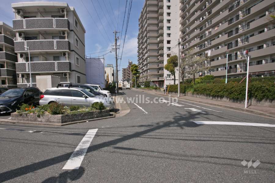 敷地南側の前面道路(東側から)
