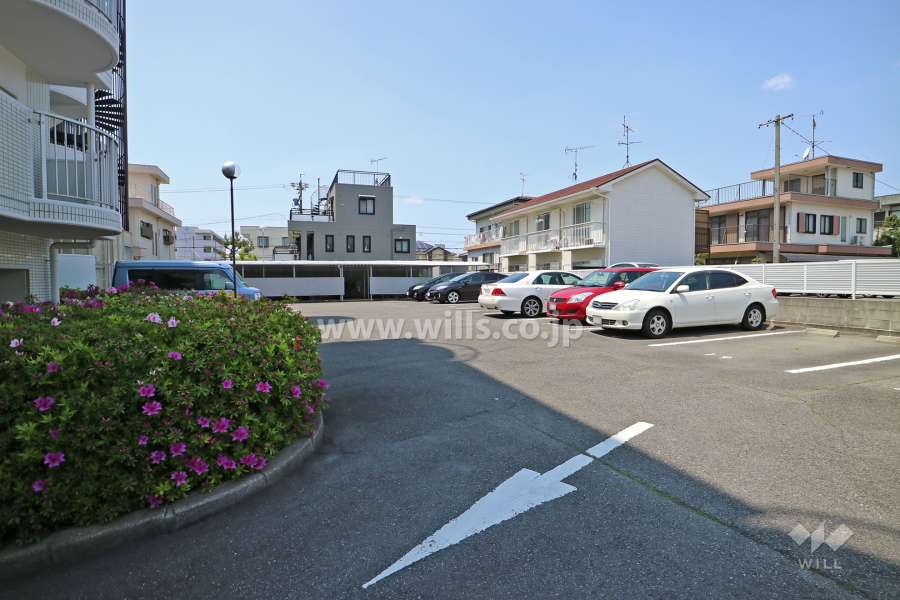 敷地内駐車場（屋外平面式）