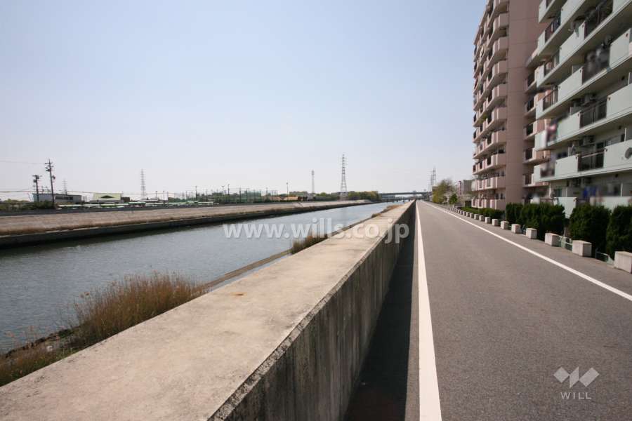 敷地南西側の前面道路。河川敷に沿って色彩の異なる二対のマンションが並んで建っています。青色が真栄マンション第2泉楽です。