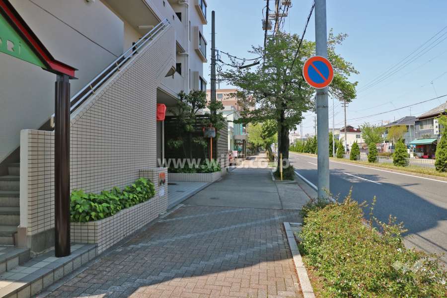 敷地北側の前面道路(東側から)