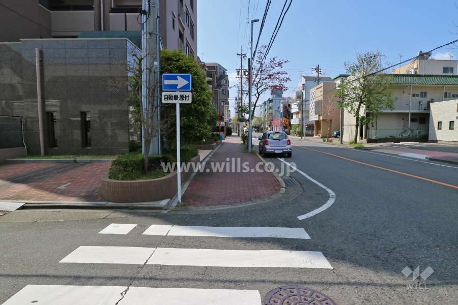 敷地西側の前面道路(北側から)