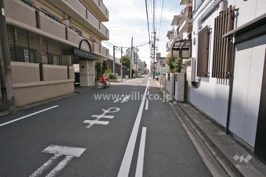 敷地西側の前面道路(北側から)