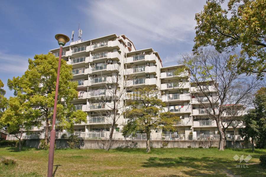 白水公園ハイツの外観(東側から)