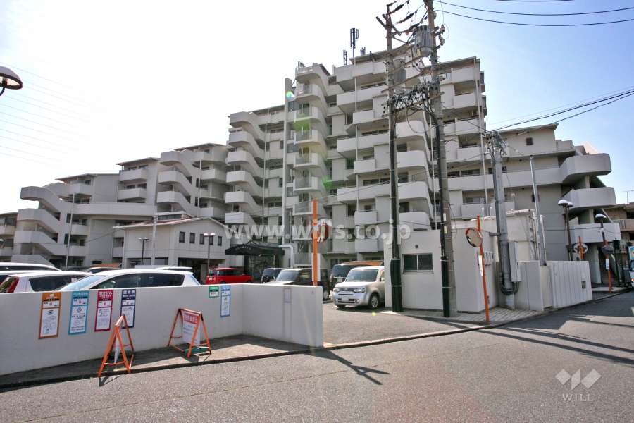 白水公園ハイツの外観(北側から)