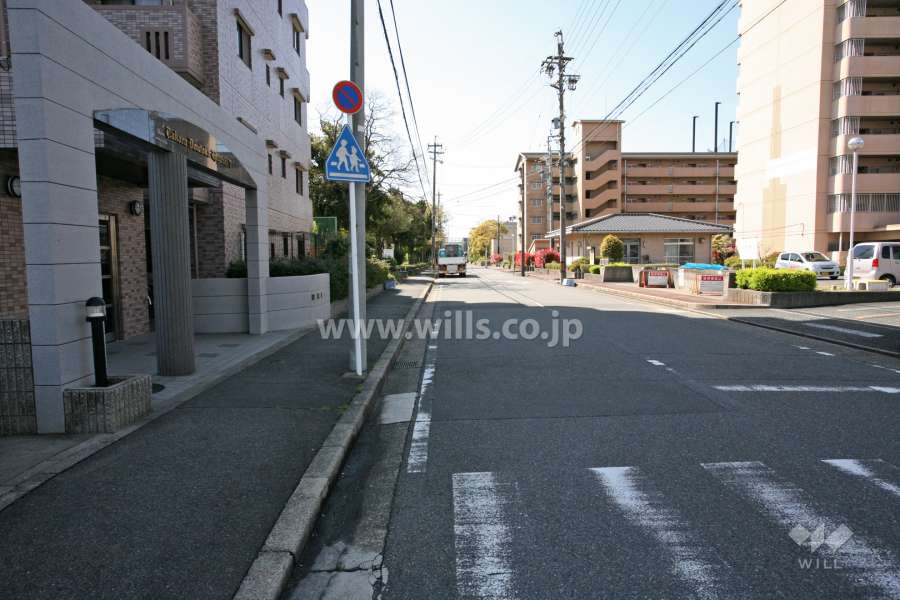敷地西側の前面道路（北側から）