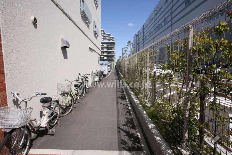 敷地東側の通路（南側から）