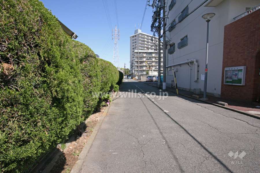 敷地西側の通路（南側から）