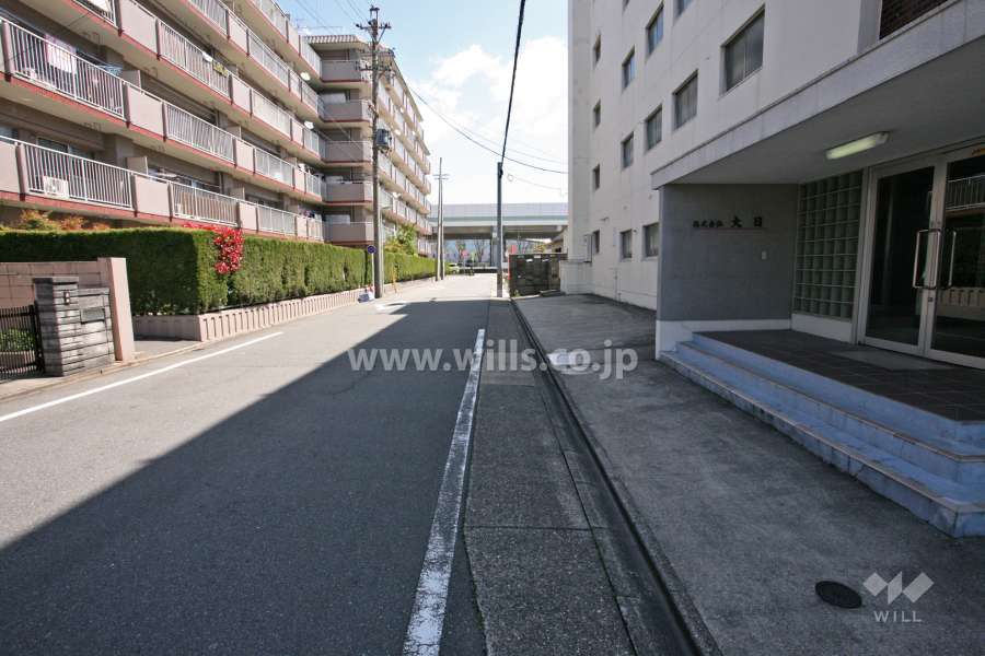 敷地南側の前面道路（西側から）
