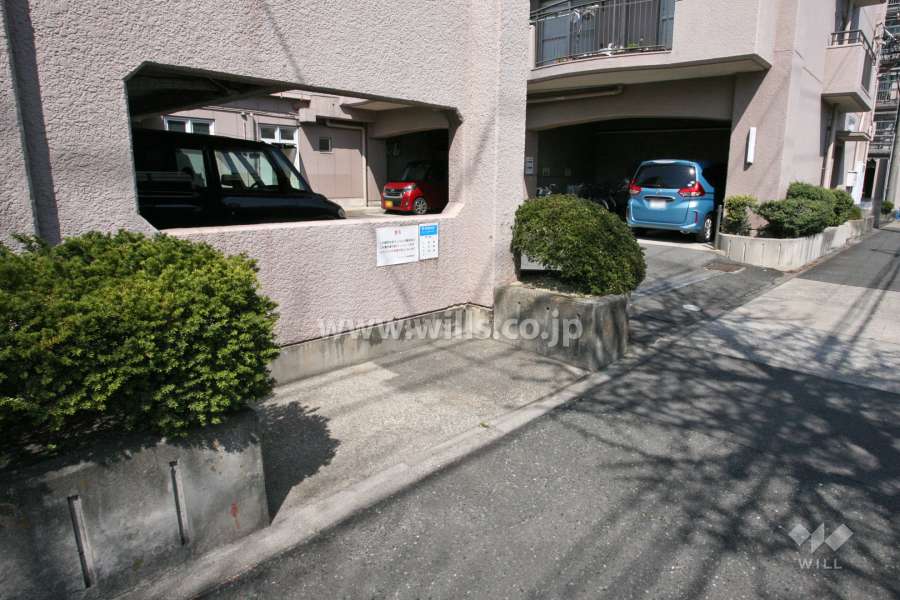 ゴミ置き場
