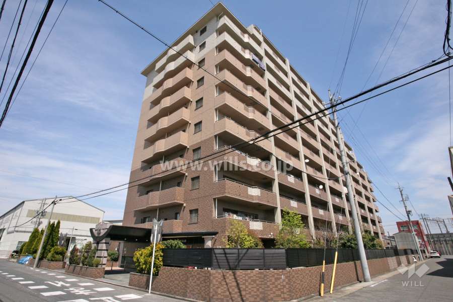 ラドーニ南区南野風の館の外観（南側から）
