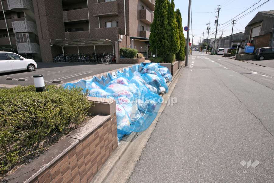 ゴミ置き場