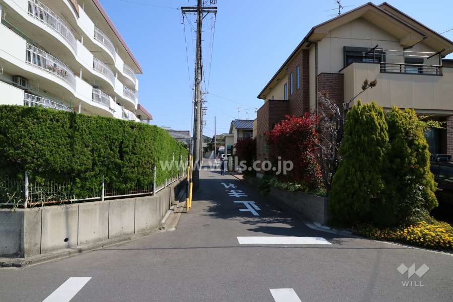 敷地南東側の前面道路（南西側から）