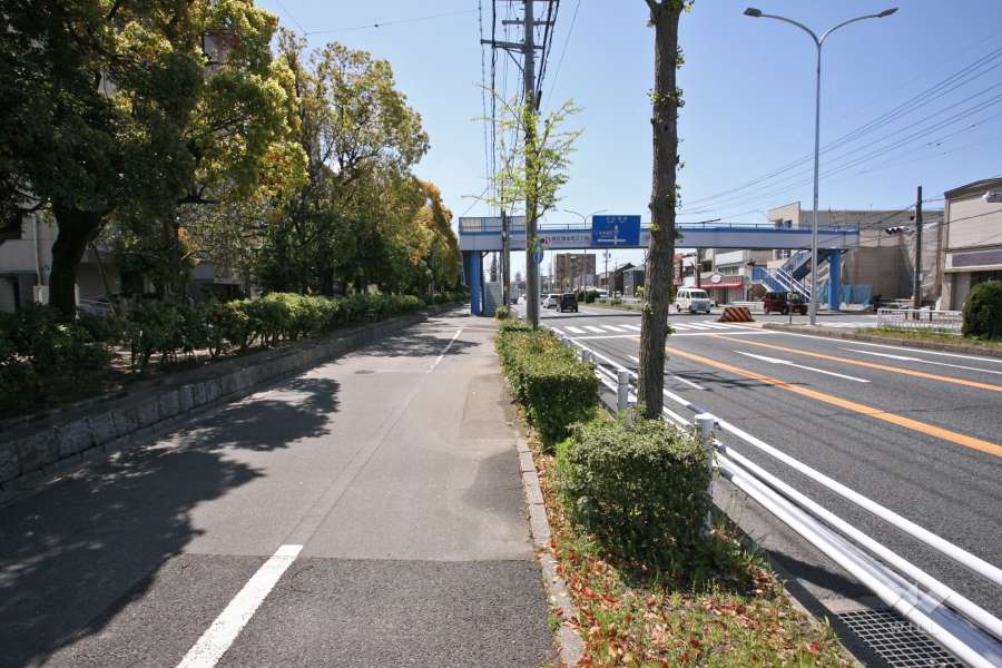 広い団地の間には国道247号が通っています。