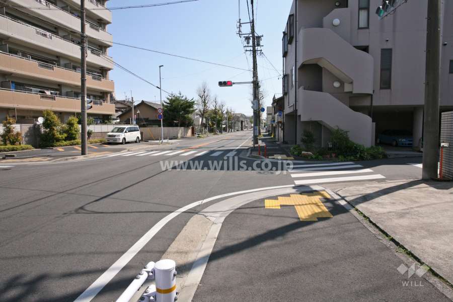 敷地南側の前面道路（西側から）