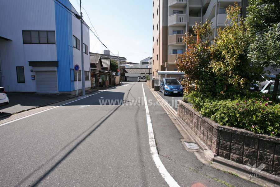 敷地東側の前面道路（北側から）