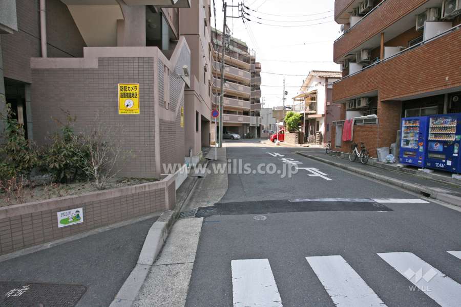 敷地北側の前面道路