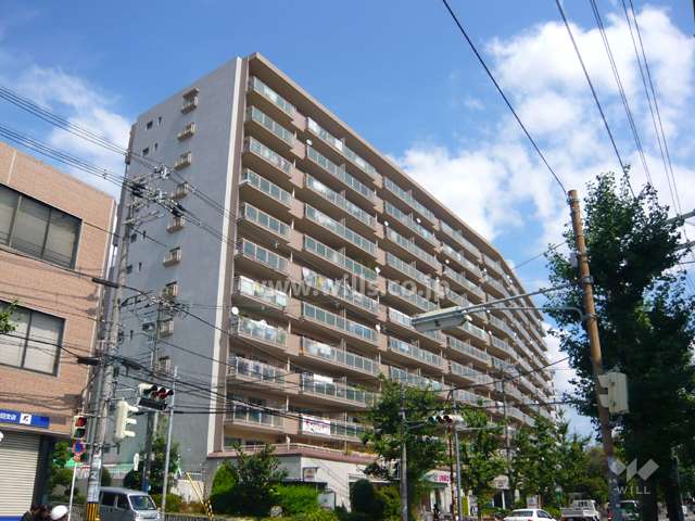 シーアイハイツ南千里A棟の外観（南西側から）　夏の頃。前の通りには街路樹が並んでいます。