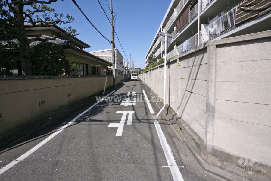 敷地南側の前面道路（東側から）