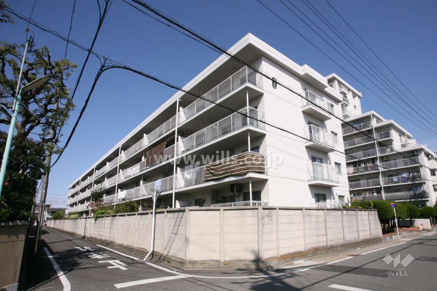 堀田サンハイツB棟の外観（南東側から）