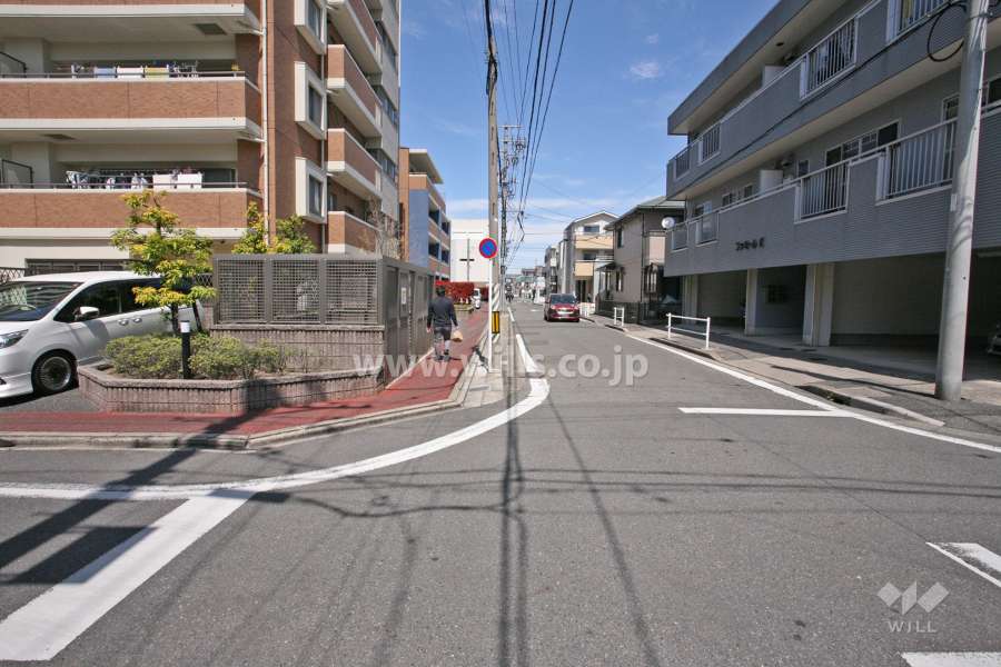 敷地東側の前面道路