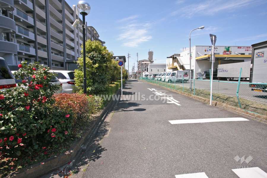 敷地北側の前面道路