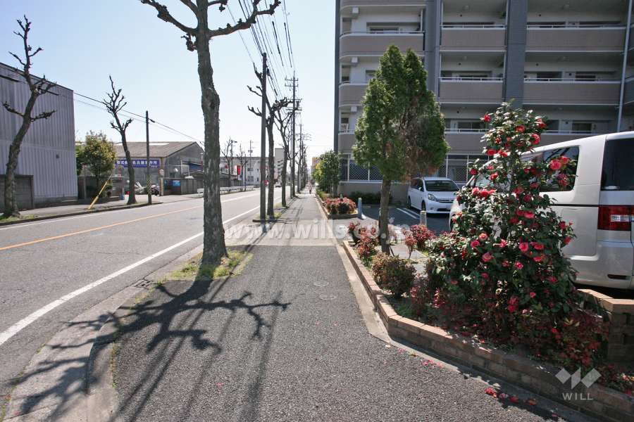 敷地東側の前面道路