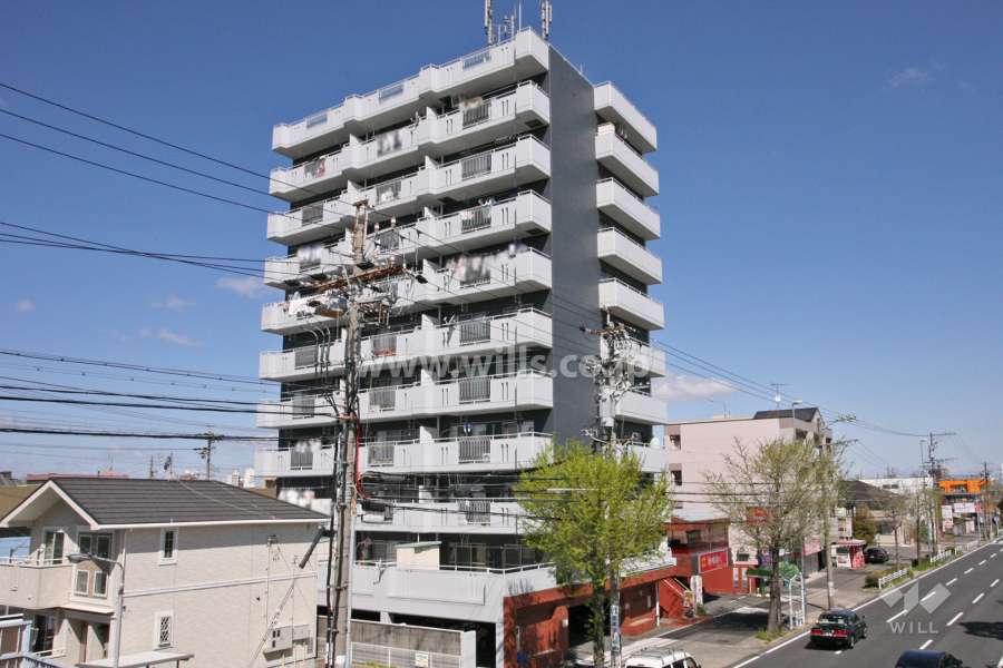真栄マンション道徳の外観(南東側から)