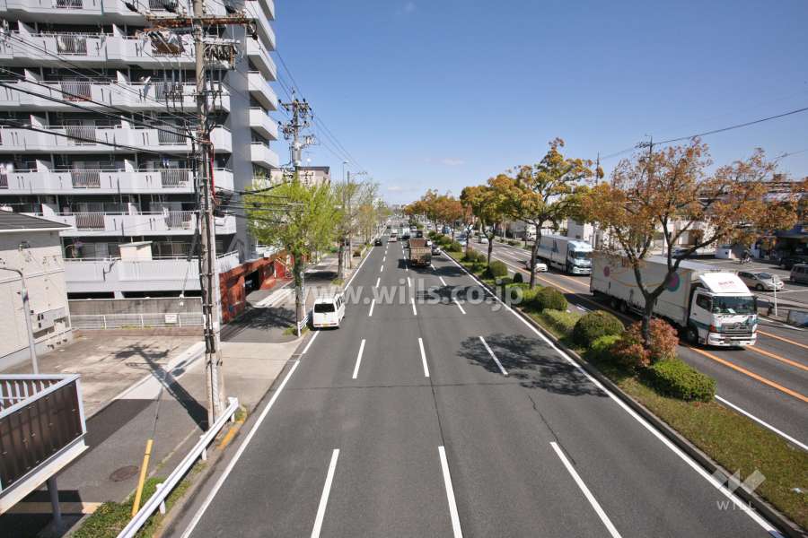 敷地東側の前面道路(国道247号)