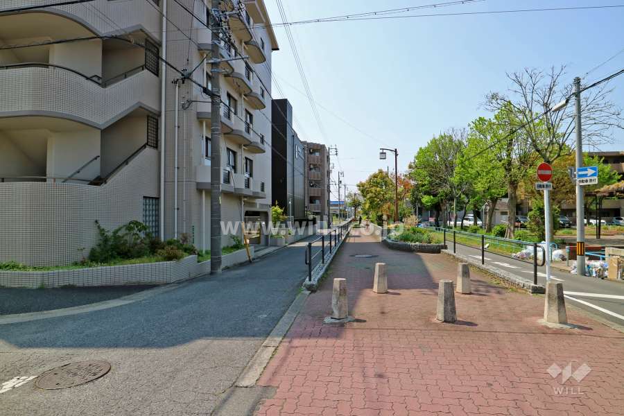 敷地西側の前面道路