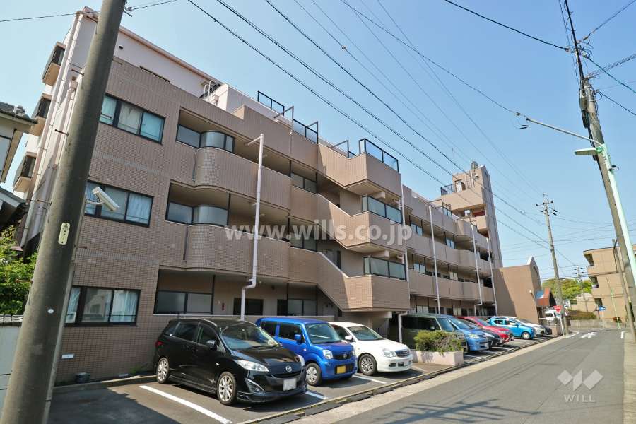 シティコーポ明円の外観(北東側から)