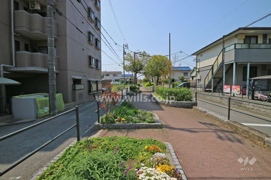 敷地西側の前面道路