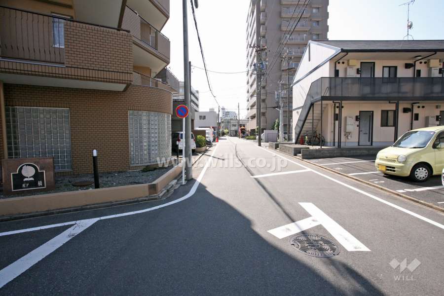 敷地南側の前面道路（西側から）
