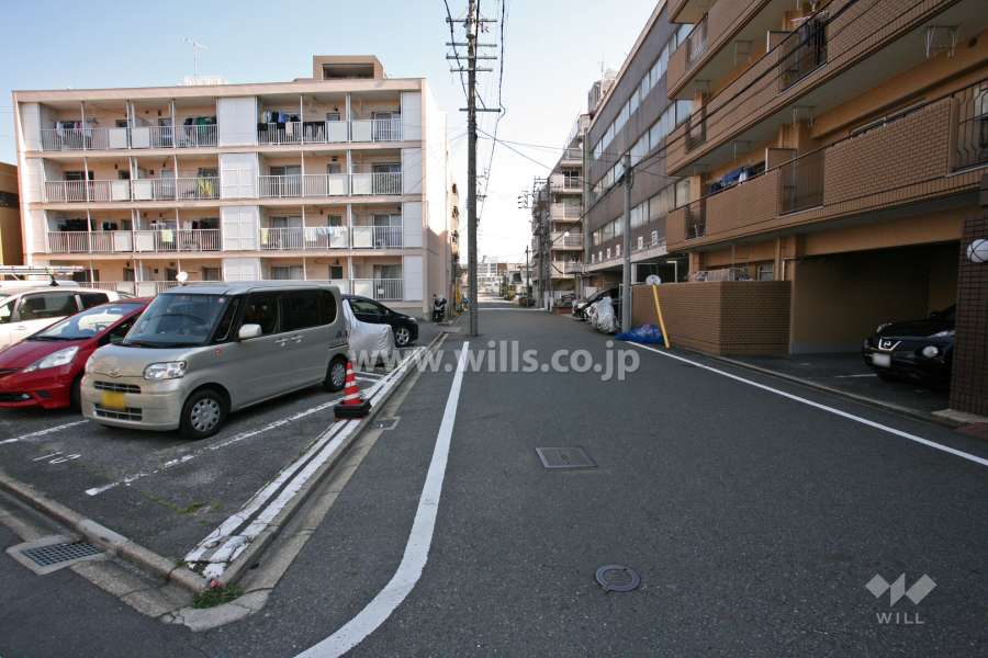 敷地内西側の前面道路（南側から）
