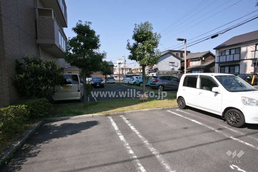 敷地内駐車場（屋外平面式）