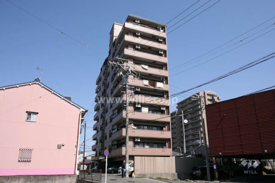 レインボー内田橋の外観（南東側から）