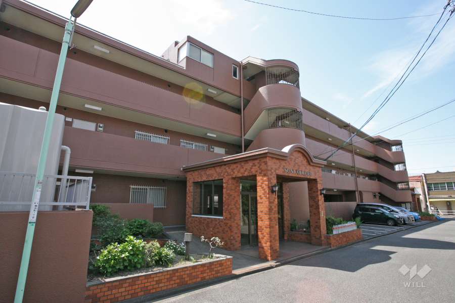 サンロワール柴田の外観(北側から)