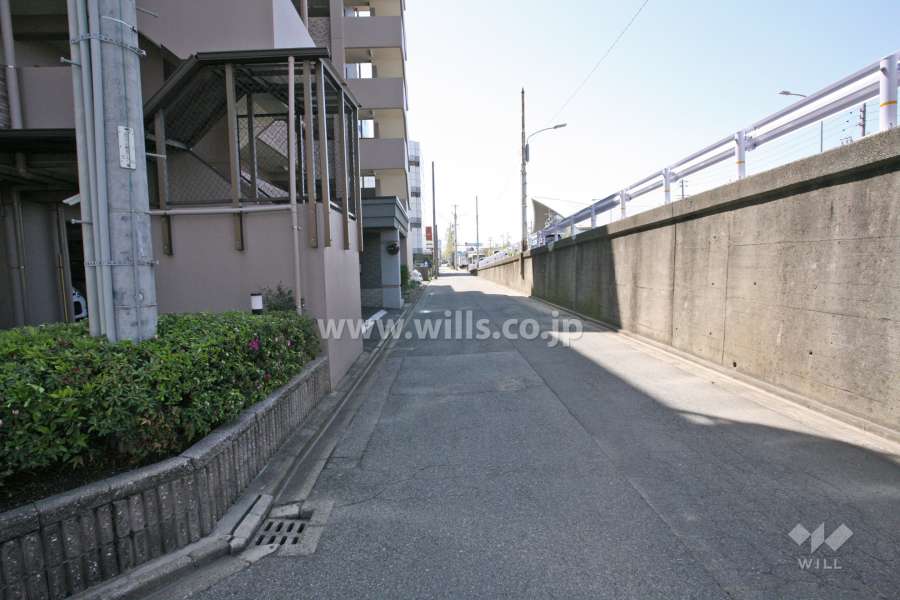 敷地北側の前面道路（東側から）