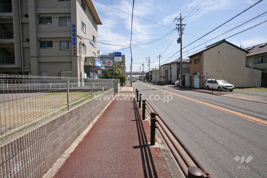 敷地南側の道路(西側から)